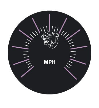 1972 Arctic Cat MPH Gauge Decal