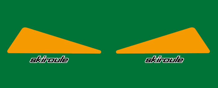 1973 Skiroule Cariol Decals