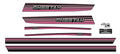 1978 Arctic Cat Cheetah 5000 Decals