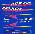 1999 Polaris XCR 600 Hood & IFS Decals