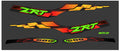2001 Arctic Cat ZRT 600 Hood Decals