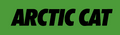 2002 Arctic Cat ZR "Arctic Cat" Decal
