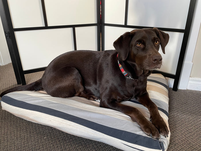 Pet Bed UPCYCLED