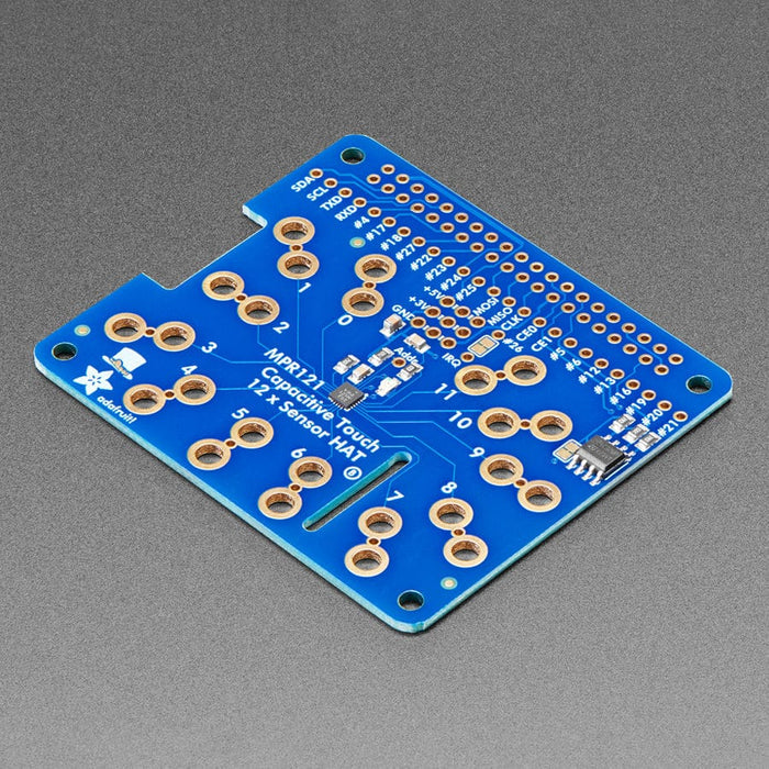 Adafruit Capacitive Touch HAT for Raspberry Pi - Mini Kit - MPR121 by Adafruit - The Pi Hut