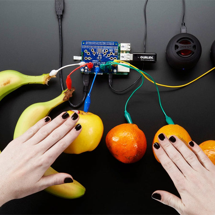 Adafruit Capacitive Touch HAT for Raspberry Pi - Mini Kit - MPR121 by Adafruit - The Pi Hut