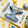 Presenting the Amalfi Lemon Adjustable Neck Harness, Lead & Collar Bundle by Cocopup London: This colorful dog accessory set features a harness, leash, and collar adorned with vibrant citrus patterns. Showcased on a marble surface with sliced lemons and whole lemons scattered around a yellow background, this bundle exudes a fresh and bright theme.