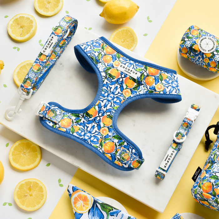 Presenting the Amalfi Lemon Adjustable Neck Harness, Lead & Collar Bundle by Cocopup London: This colorful dog accessory set features a harness, leash, and collar adorned with vibrant citrus patterns. Showcased on a marble surface with sliced lemons and whole lemons scattered around a yellow background, this bundle exudes a fresh and bright theme.