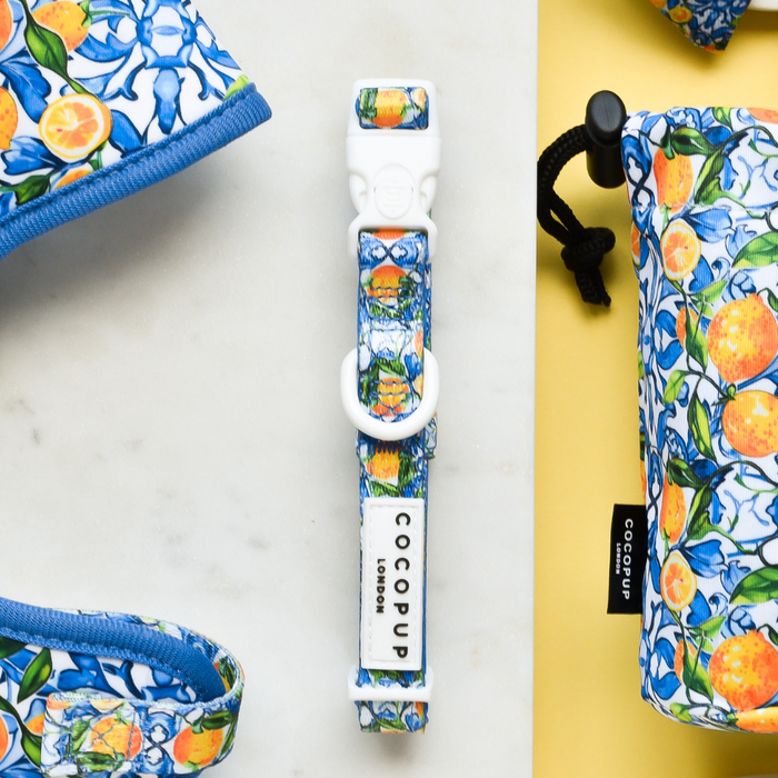 A photo showcasing the Amalfi Lemon matching dog accessory set with a citrus fruit pattern. The set includes an adjustable neck harness with a blue collar and white buckle, a leash, and a pouch, all adorned with orange and green fruit designs. The brand name "Cocopup London" is visible on the collar and pouch.