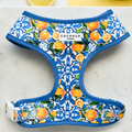 The Amalfi Lemon Adjustable Neck Harness from Cocopup London showcases vibrant blue and white floral designs paired with orange citrus fruit motifs. A white label displaying "Cocopup London" is sewn on the top. This comfortable harness is set against a white background, with a lemon slice positioned in the background.