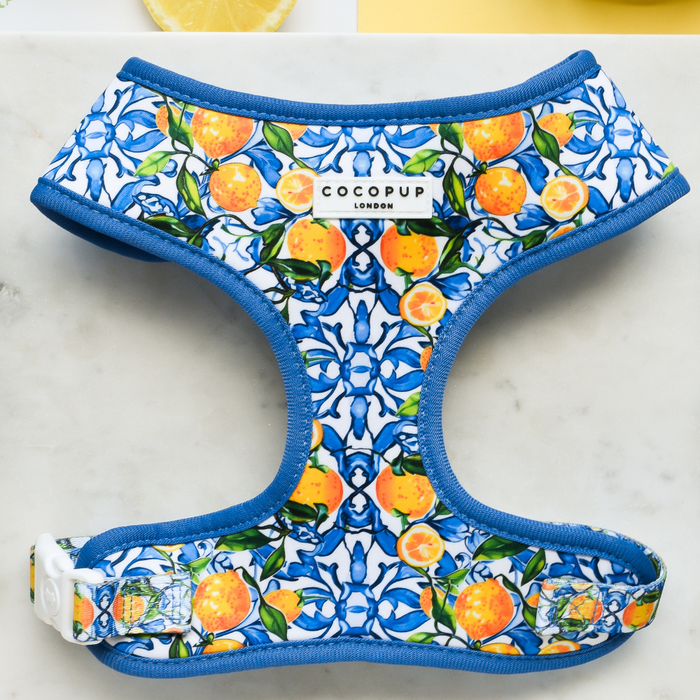 The Amalfi Lemon Adjustable Neck Harness from Cocopup London showcases vibrant blue and white floral designs paired with orange citrus fruit motifs. A white label displaying "Cocopup London" is sewn on the top. This comfortable harness is set against a white background, with a lemon slice positioned in the background.