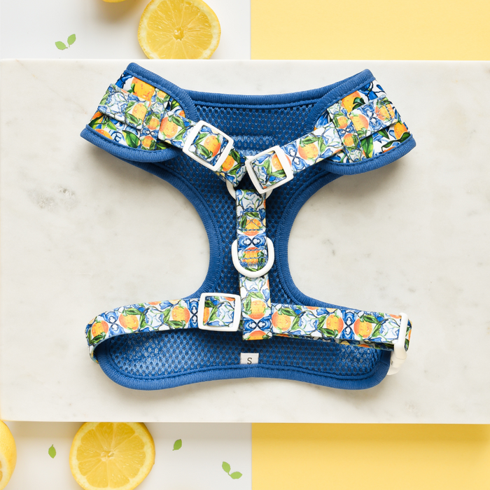 An Amalfi Lemon Adjustable Neck Harness by Cocopup London, featuring a small blue summer design with a colorful citrus fruit pattern, is displayed on a marble surface. Surrounding the comfortable dog harness are lemon halves and small green leaves, set against a yellow and white background.