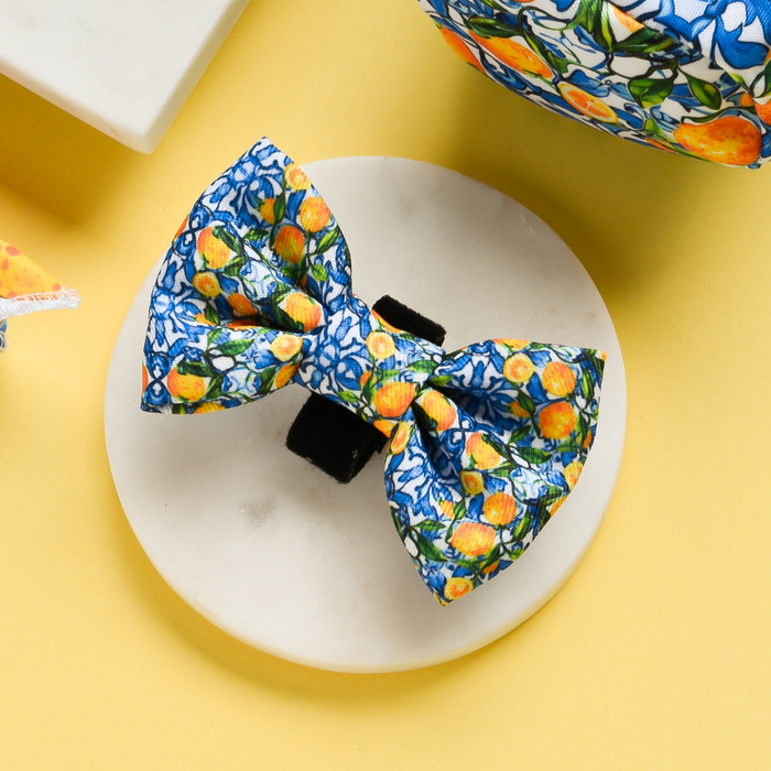Yellow bow tie with a bright lemon and leaf pattern, designed for dogs by Cocopup London.
