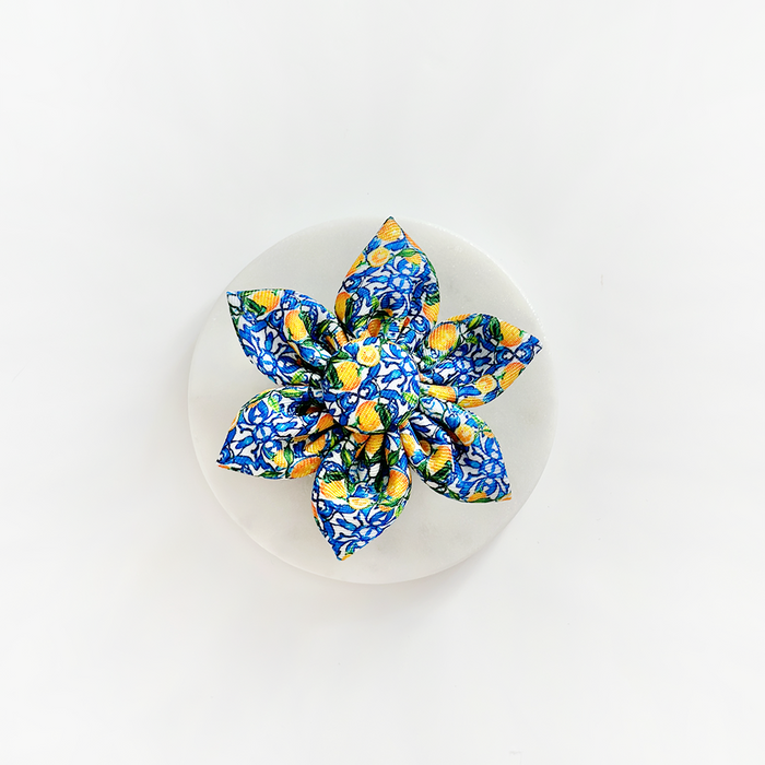 Yellow Amalfi Lemon pet collar flower by Cocopup London displayed on a plain white round coaster.