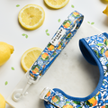 Cocopup London lemon-print dog lead and harness on marble, with fresh lemons around them.