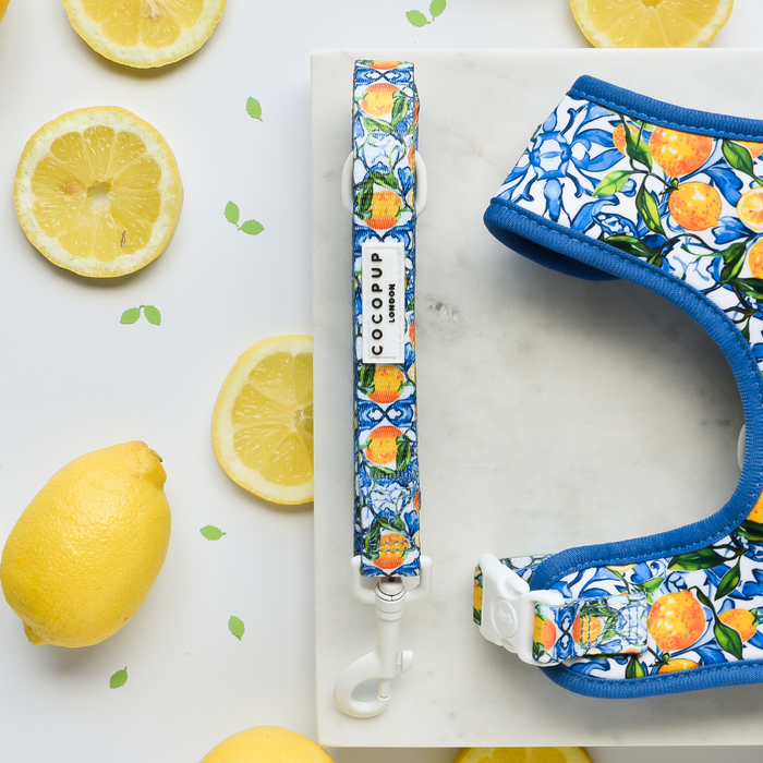 The Amalfi Lemon Adjustable Neck Harness, Lead & Collar Bundle by Cocopup London, featuring colorful citrus and floral patterns, lies on a white marble surface. Fresh lemon halves and whole lemons are scattered around the bundle, enhancing the bright, summery theme of the image.