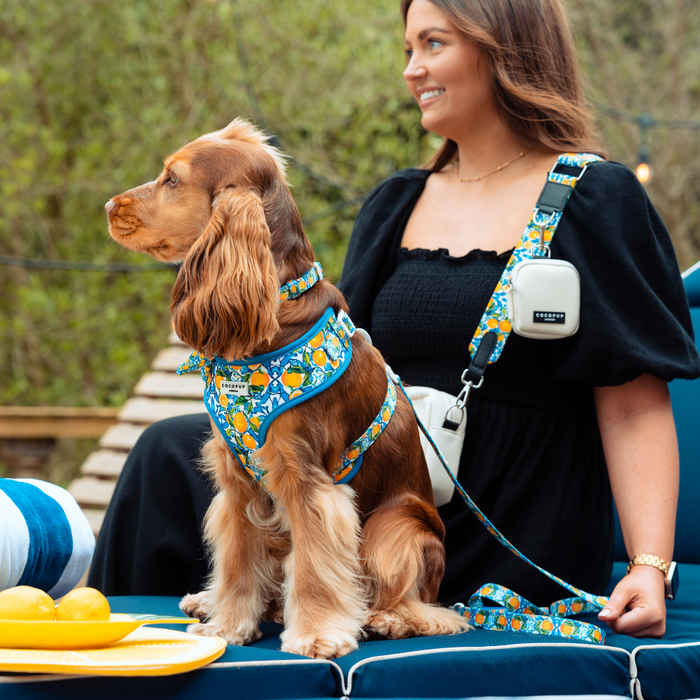 A woman with brown hair sits outdoors on patio furniture, smiling beside a brown and white dog. The dog wears an Amalfi Lemon Adjustable Neck Harness from Cocopup London, and the woman has a matching strap across her shoulder with a small white bag attached. A plate with an Amalfi Lemon bundle is on the table.