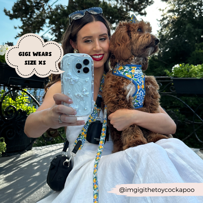 A woman in a white dress holds up her phone, taking a selfie with her brown dog. The dog is wearing the Amalfi Lemon Adjustable Neck Harness by Cocopup London. A cloud-shaped text bubble reads, "Gigi wears size XS." The Instagram handle "@imgigithetoycockapoo" is displayed in the bottom right.