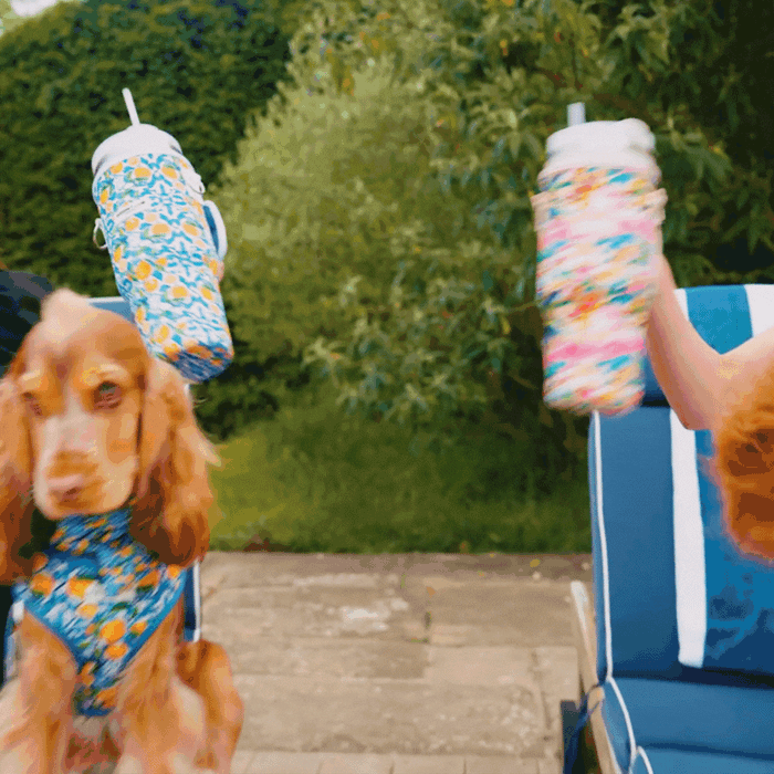 Amalfi Lemon Tumblers and a Cocopup London Carry Case held by hands, with two dogs in blue floral bandanas nearby.