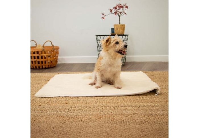 Ancol self heating pet pad in use with a dog lying on the fleece cover