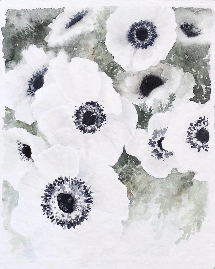 Anemone no. 2 | 8x10