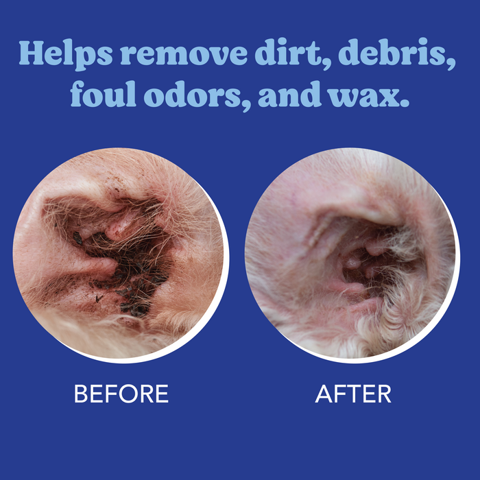 Angels' Eyes Gentle Ear Cleansing Wipes for Dogs and Cats