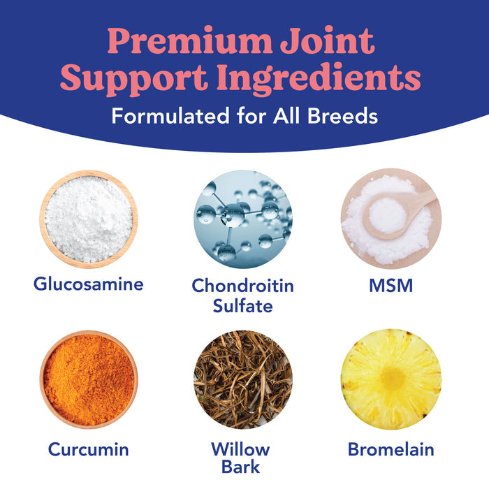 Angels’ Eyes Hip & Joint Collar | Transdermal Joint Support