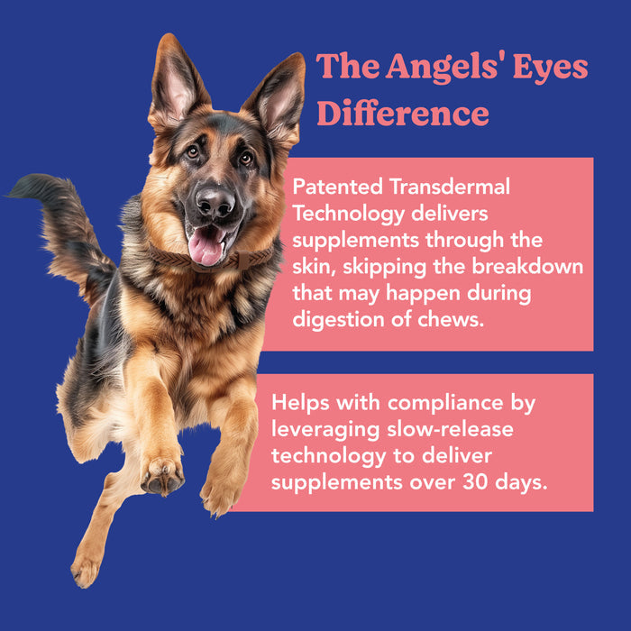 Angels’ Eyes Hip & Joint Collar | Transdermal Joint Support