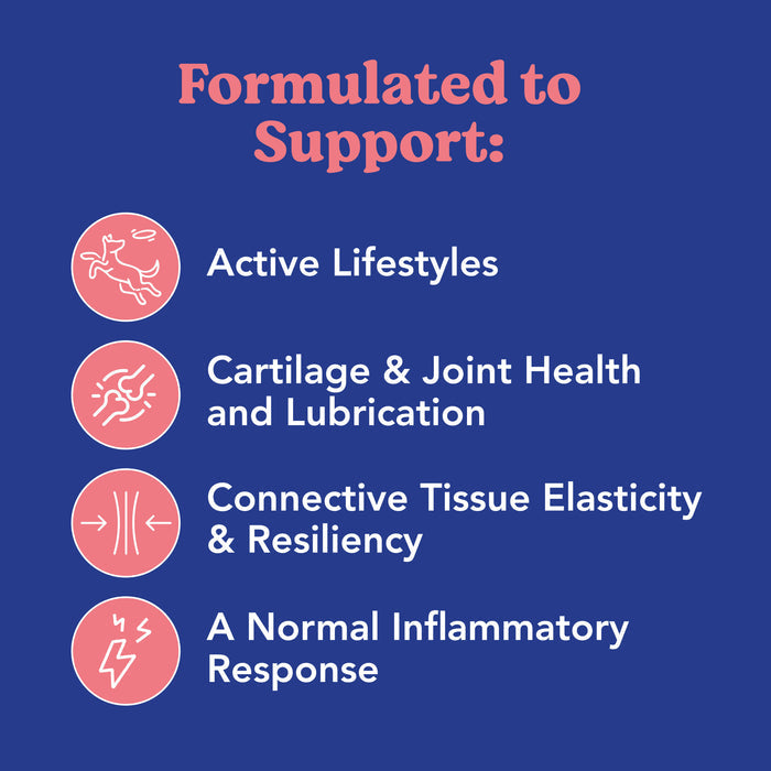 Angels’ Eyes Hip & Joint Collar | Transdermal Joint Support