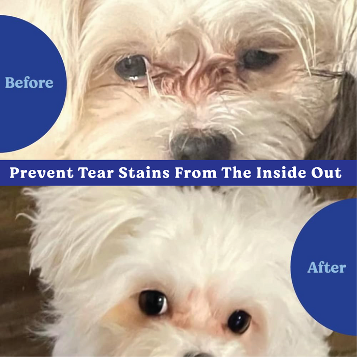 Angels’ Eyes NATURAL PLUS Tear Stain Chew Dogs Chicken 90ct