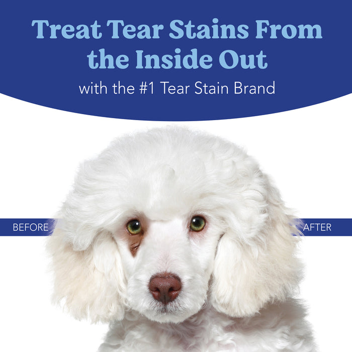 Angels’ Eyes PLUS Tear Stain Chew Dogs Beef 120ct