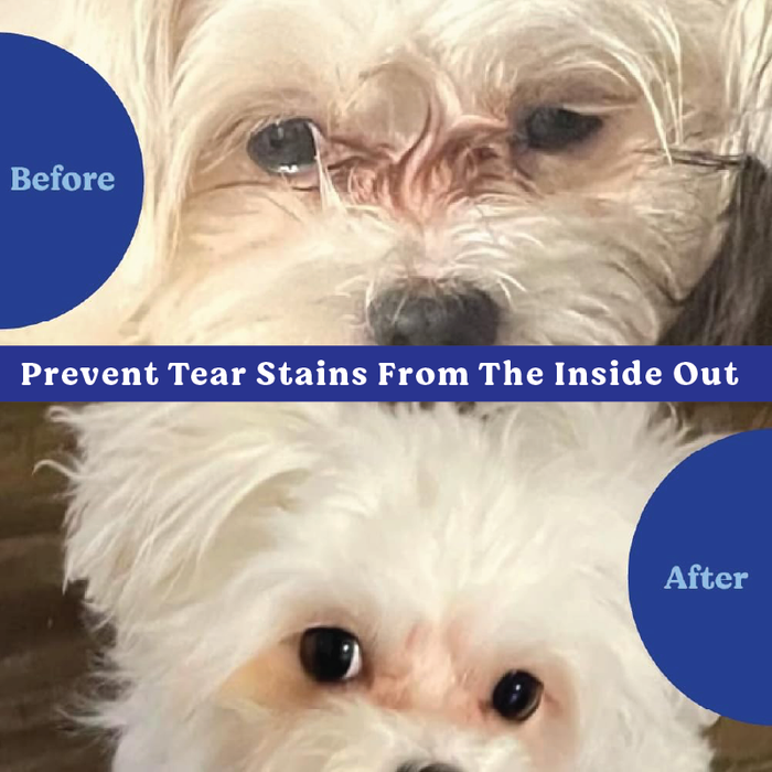 Angels’ Eyes PLUS Tear Stain Chew Dogs Beef 90ct