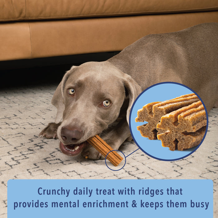 Angels’ Eyes Sea Sticks Multi-Benefit | Nutritional Seaweed Dog Treat