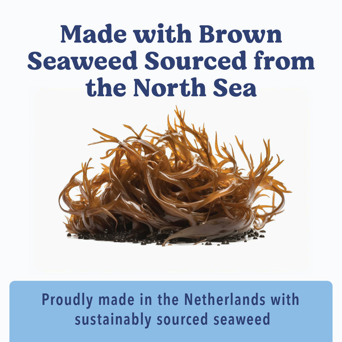 Angels’ Eyes Sea Sticks Multi-Benefit | Nutritional Seaweed Dog Treat