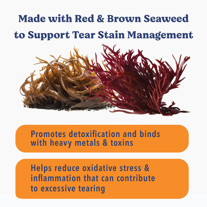 Angels’ Eyes Sea Sticks Tear Stain | Antioxidant Dog Treat