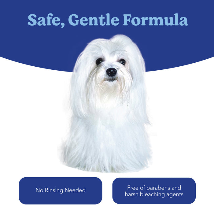 Angels’ Eyes Tear Stain & Coat Solution 8 oz for Dogs and Cats
