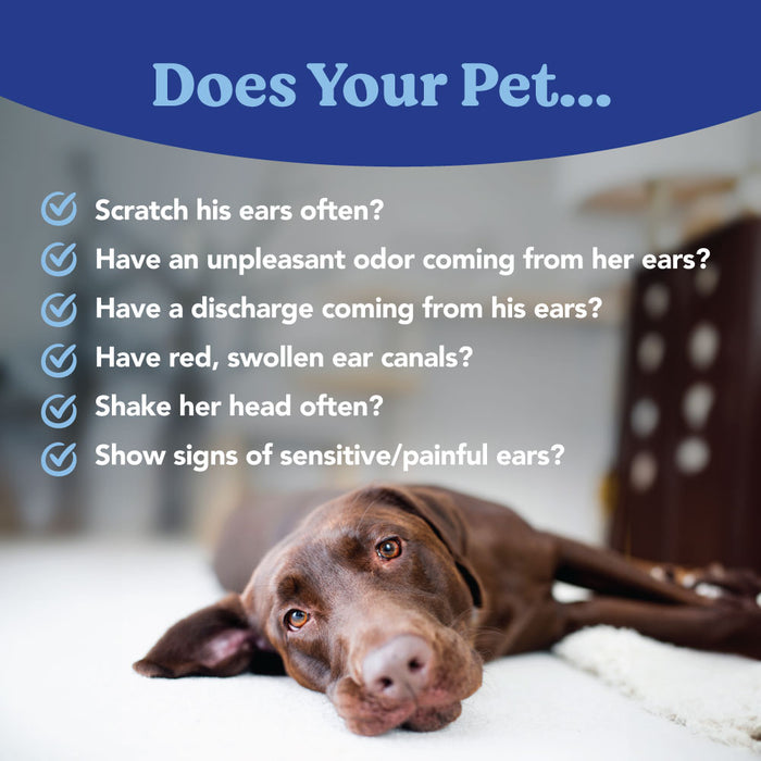 Angels’ Eyes Zinc-Otic Ear Relief for Dog & Cat Infections