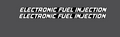 Arctic Cat 1991 Wildcat 700 EFI Decals