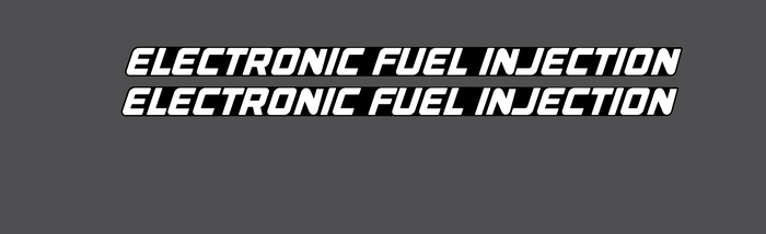 Arctic Cat 1991 Wildcat 700 EFI Decals