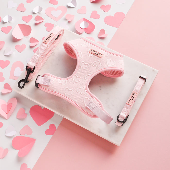 Baby pink heart-patterned harness, lead, and collar set on marble tile with scattered paper hearts.