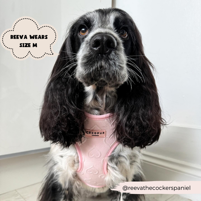 A black and white Cocker Spaniel dog is wearing a Luxe Baby Pink Heart Adjustable Neck Harness by Cocopup London, with a tag that reads "Ecopup." Text in a speech bubble says "Reeva wears size M." The Instagram handle @reevathecockerspaniel is visible at the bottom right of the image.