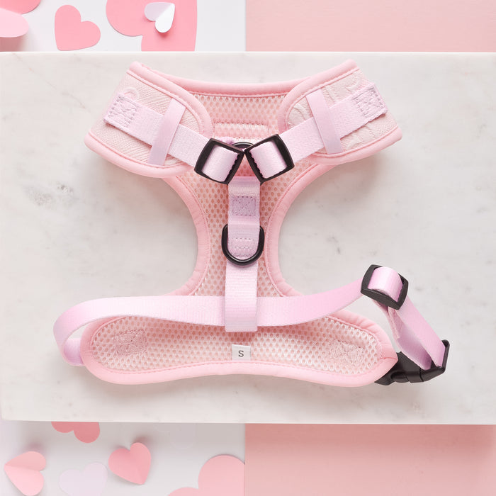 A Cocopup London Luxe Adjustable Neck Harness in a baby pink heart theme is elegantly displayed on a marble surface, adorned with scattered pink and white heart-shaped paper cutouts. This harness features adjustable straps, black buckles, and a breathable mesh design.
