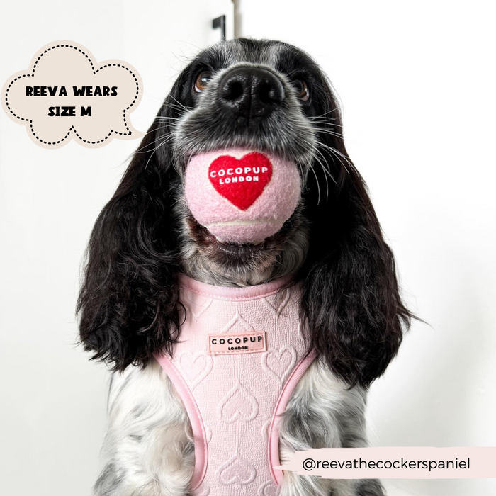 A black and white Cocker Spaniel named Reeva, sporting a Luxe Adjustable Neck Harness - Baby Pink Heart from Cocopup London, holds a pink ball with the "Cocopup London" logo in her mouth. The image features the text "Reeva wears size M" in a speech bubble, with the Instagram handle @reevathecockerspaniel displayed in the corner.