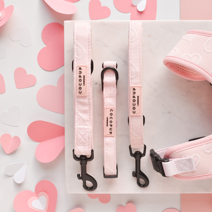 Baby pink heart-patterned Luxe Lead by Cocopup London on white, surrounded by pink and white paper hearts.