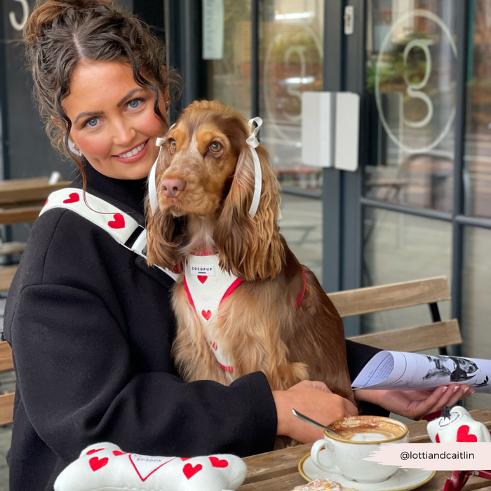 Smiling woman outdoors with her dog in a Valentine’s accessory, Cocopup London pink knitted bag strap beside them.