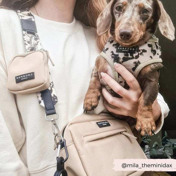 A person wearing a beige shirt holds a small brown and gray dachshund puppy dressed in a camouflage harness. The person has a Cocopup London Dog Walking Bag with an adjustable length and an Ivory Tort strap. A small rectangular beige pouch is attached to the strap. Instagram handle @mila_theminidax is in the corner.