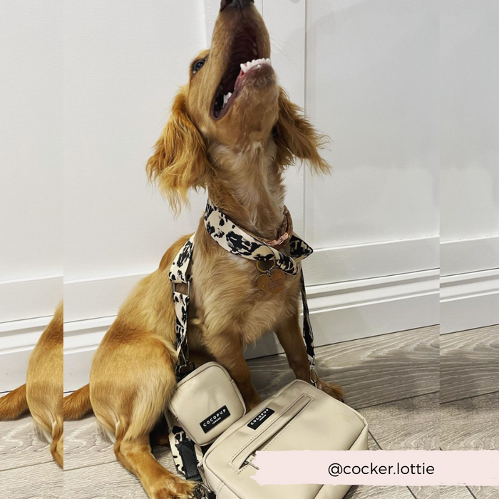 A light brown dog with floppy ears looks up happily while sitting on a wooden floor. The dog is adorned with a patterned scarf and a Cocopup London Bag Strap - Ivory Tort, which has an adjustable length. Near its foreleg, there is a larger beige bag. A text overlay reads "@cocker.lottie" on a pink banner.