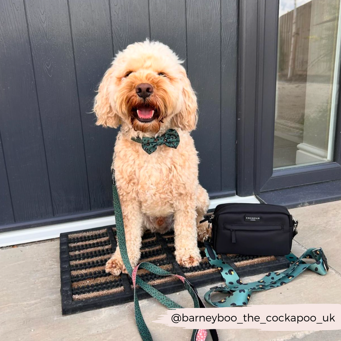 A happy, fluffy, cream-colored dog sits on a doormat in front of a dark-colored door. The dog is wearing a green bow tie and leash with a matching pattern from the Khaki Leopard Collection. Beside it, there is a small black Cocopup London Dog Walking Bag featuring the Bag Strap - Khaki Leopard.