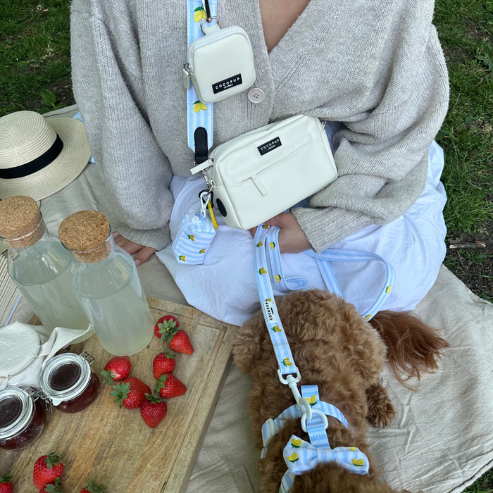 Person with a yellow patterned Cocopup London bag strap on a picnic blanket beside a small brown dog and snacks.