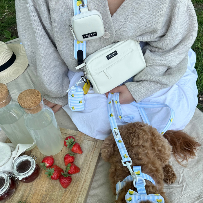 Woman in beige sweater picnics with her dog and white bags, one with a yellow lemon-print Cocopup London bag strap.
