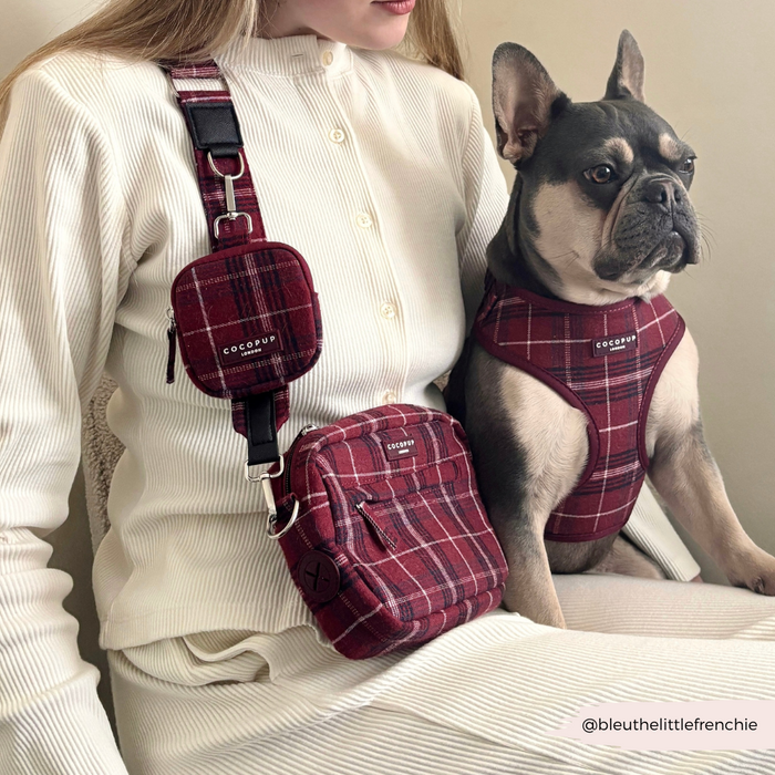 Woman in cream outfit and French Bulldog with matching Mulberry Plaid harness, leash, and Cocopup London dog walking bag.